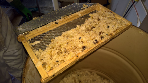 Cappings after Extraction