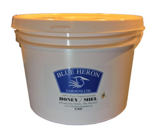 5KG Pail