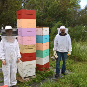 beehives